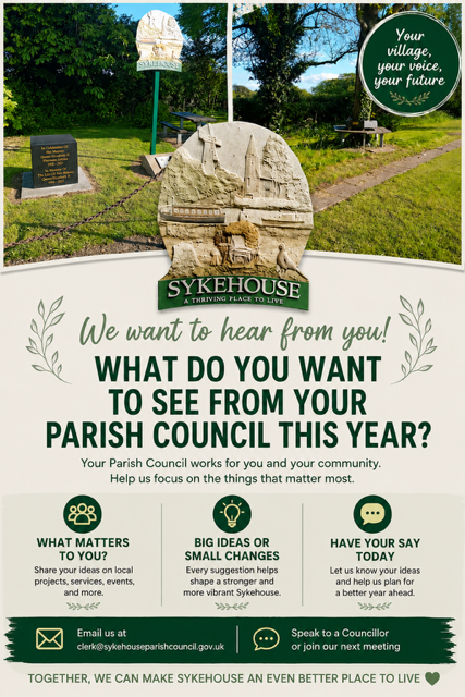 Sykehouse Poster